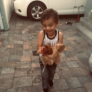 Meet your Posher, Rosa